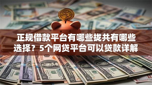 正规借款平台有哪些拢共有哪些选择？5个网贷平台可以贷款详解
