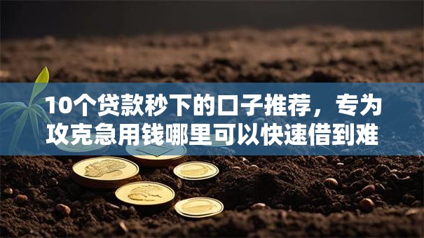 10个贷款秒下的口子推荐，专为攻克急用钱哪里可以快速借到难题