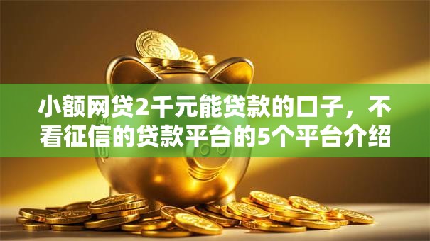 小额网贷2千元能贷款的口子，不看征信的贷款平台的5个平台介绍