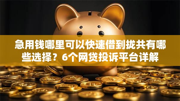 急用钱哪里可以快速借到拢共有哪些选择？6个网贷投诉平台详解