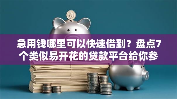 急用钱哪里可以快速借到？盘点7个类似易开花的贷款平台给你参考
