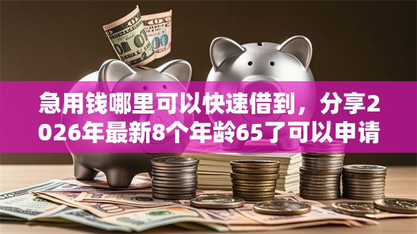 急用钱哪里可以快速借到，分享2026年最新8个年龄65了可以申请的网贷平台