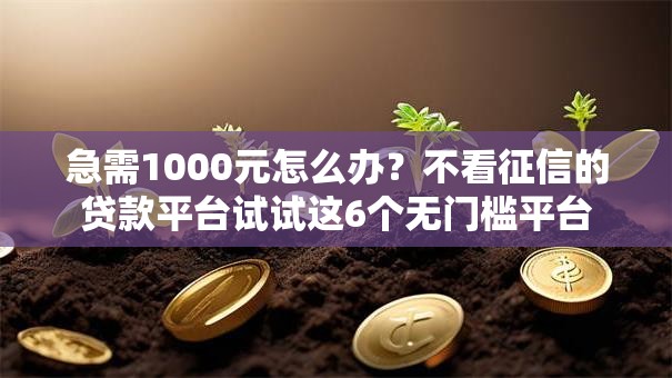 急需1000元怎么办？不看征信的贷款平台试试这6个无门槛平台