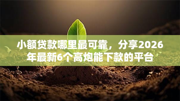 小额贷款哪里最可靠，分享2026年最新6个高炮能下款的平台