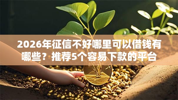2026年征信不好哪里可以借钱有哪些？推荐5个容易下款的平台