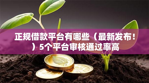 正规借款平台有哪些（最新发布！）5个平台审核通过率高