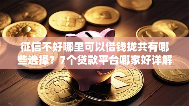 征信不好哪里可以借钱拢共有哪些选择？7个贷款平台哪家好详解