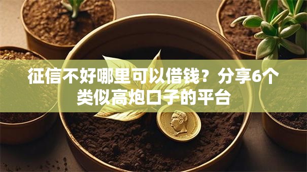 征信不好哪里可以借钱？分享6个类似高炮口子的平台