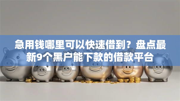 急用钱哪里可以快速借到？盘点最新9个黑户能下款的借款平台