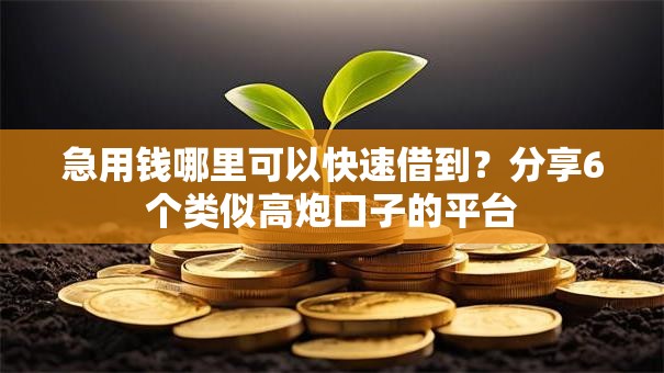 急用钱哪里可以快速借到？分享6个类似高炮口子的平台