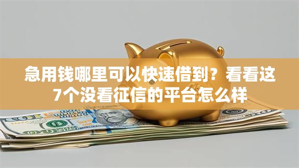 急用钱哪里可以快速借到?看看这7个没看征信的平台怎么样 急用钱哪里可以快速借到?看看这7个没看征信的平台怎么样