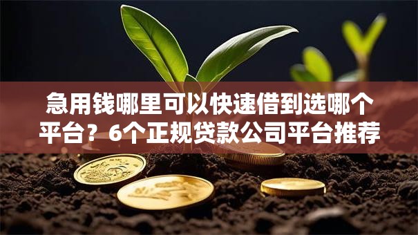 急用钱哪里可以快速借到选哪个平台?6个正规贷款公司平台推荐 急用钱哪里可以快速借到选哪个平台?6个正规贷款公司平台推荐