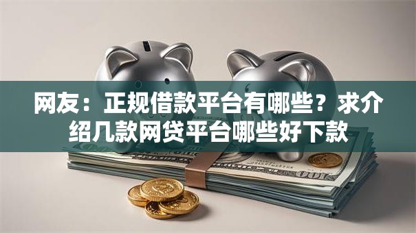 网友：正规借款平台有哪些？求介绍几款网贷平台哪些好下款