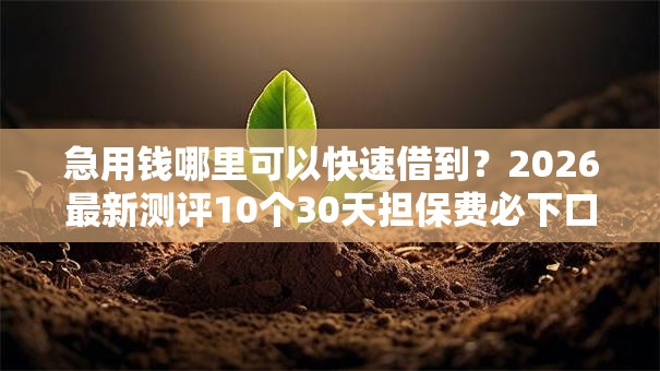 急用钱哪里可以快速借到？2026最新测评10个30天担保费必下口子2025