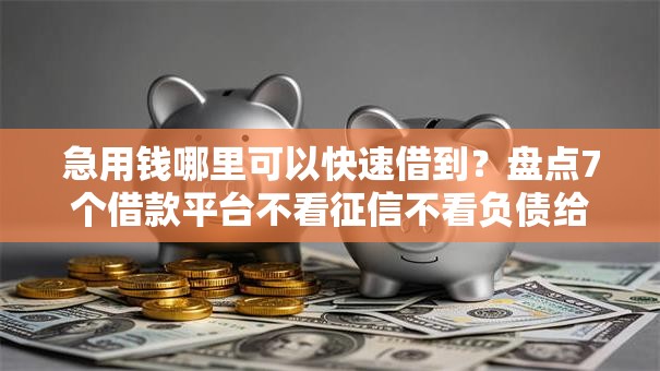 急用钱哪里可以快速借到？盘点7个借款平台不看征信不看负债给你参考