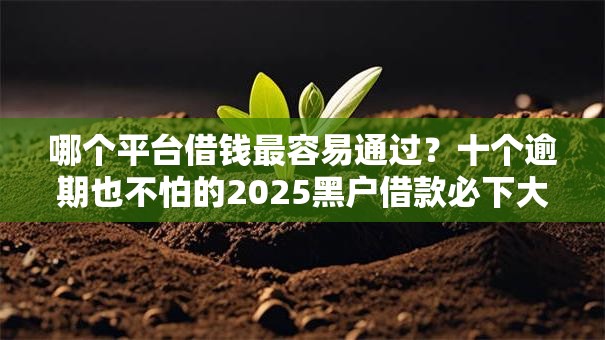 哪个平台借钱最容易通过?十个逾期也不怕的2025黑户借款必下大额口子 哪个平台借钱最容易通过?十个逾期也不怕的2025黑户借款必下大额口子