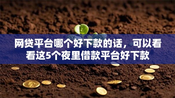 网贷平台哪个好下款的话，可以看看这5个夜里借款平台好下款