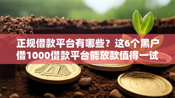 正规借款平台有哪些？这6个黑户借1000借款平台能放款值得一试