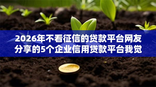 2026年不看征信的贷款平台网友分享的5个企业信用贷款平台我觉得不错！