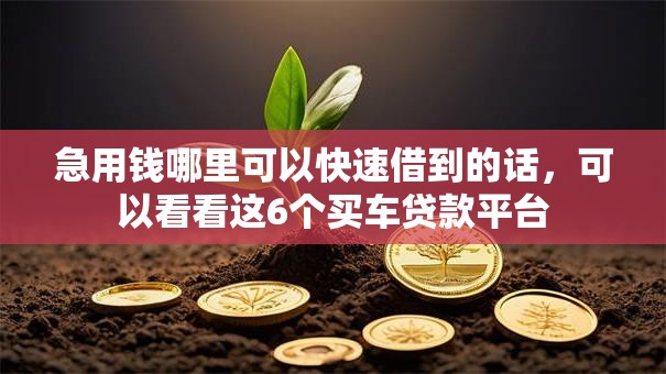 急用钱哪里可以快速借到的话，可以看看这6个买车贷款平台