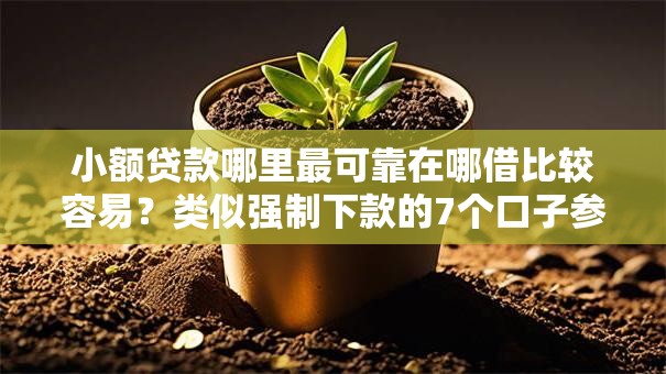 小额贷款哪里最可靠在哪借比较容易？类似强制下款的7个口子参考