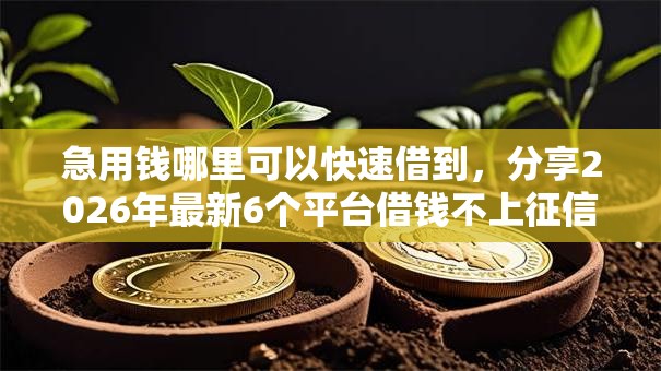 急用钱哪里可以快速借到，分享2026年最新6个平台借钱不上征信
