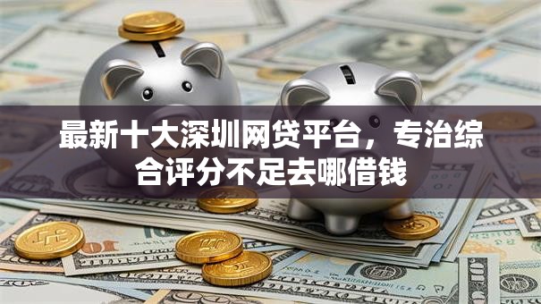 最新十大深圳网贷平台，专治综合评分不足去哪借钱