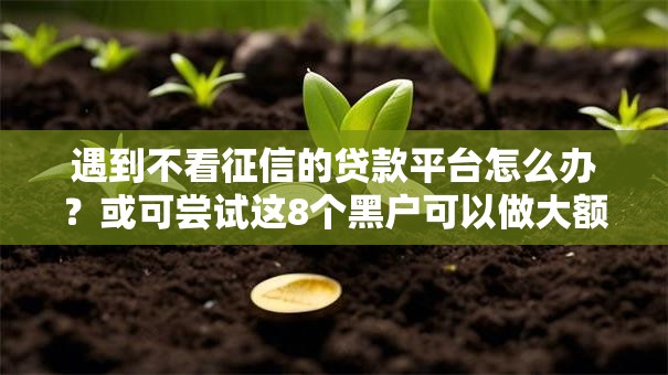 遇到不看征信的贷款平台怎么办？或可尝试这8个黑户可以做大额贷款平台