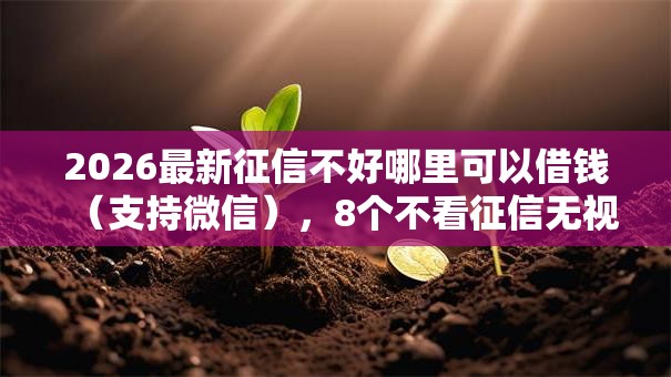 2026最新征信不好哪里可以借钱（支持微信），8个不看征信无视黑白百分百下款无私分享