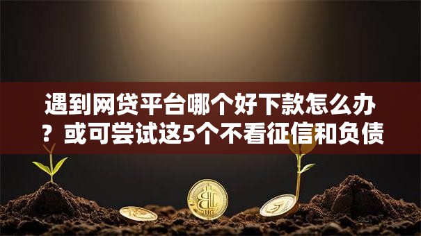 遇到网贷平台哪个好下款怎么办?或可尝试这5个不看征信和负债的贷款平台 遇到网贷平台哪个好下款怎么办?或可尝试这5个不看征信和负债的贷款平台