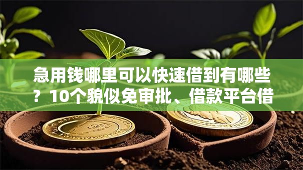 急用钱哪里可以快速借到有哪些?10个貌似免审批、借款平台借钱利息低合集 急用钱哪里可以快速借到有哪些?10个貌似免审批、借款平台借钱利息低合集