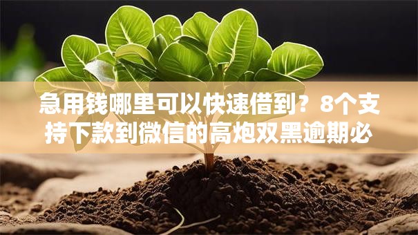 急用钱哪里可以快速借到？8个支持下款到微信的高炮双黑逾期必下款平台