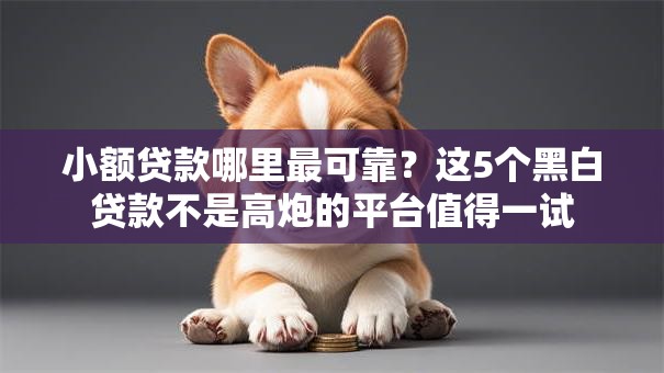 小额贷款哪里最可靠？这5个黑白贷款不是高炮的平台值得一试
