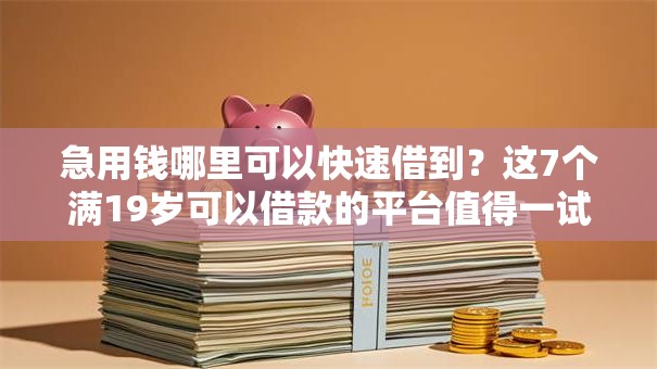 急用钱哪里可以快速借到？这7个满19岁可以借款的平台值得一试