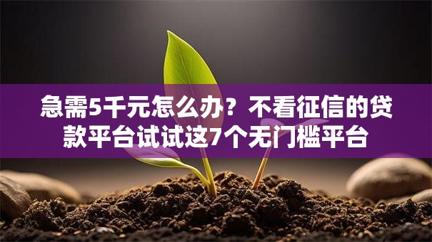 急需5千元怎么办？不看征信的贷款平台试试这7个无门槛平台