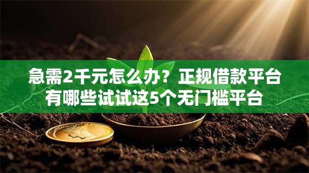 急需2千元怎么办？正规借款平台有哪些试试这5个无门槛平台