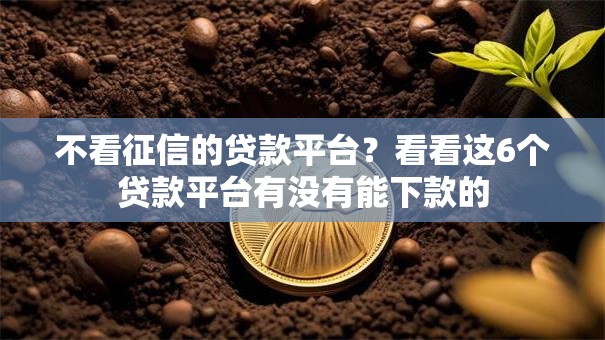 不看征信的贷款平台？看看这6个贷款平台有没有能下款的
