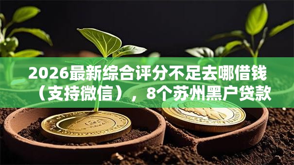 2026最新综合评分不足去哪借钱（支持微信），8个苏州黑户贷款5万的口子无私分享