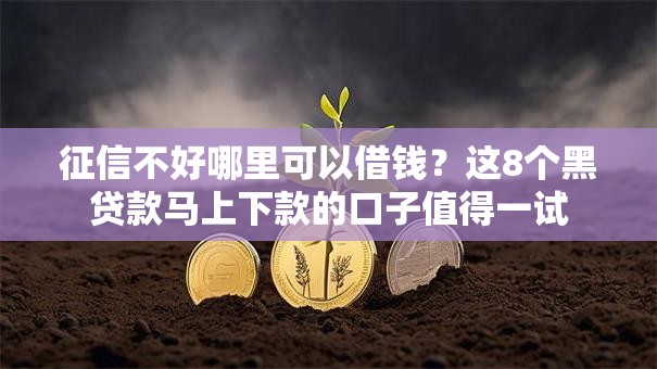 征信不好哪里可以借钱？这8个黑贷款马上下款的口子值得一试
