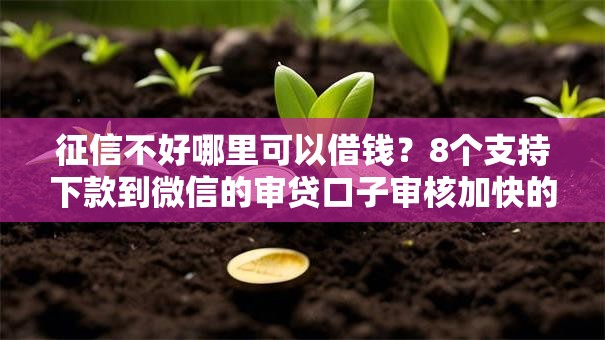 征信不好哪里可以借钱？8个支持下款到微信的审贷口子审核加快的软件