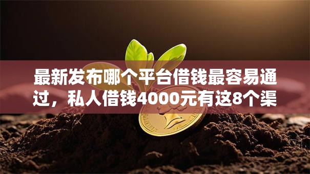 最新发布哪个平台借钱最容易通过，私人借钱4000元有这8个渠道