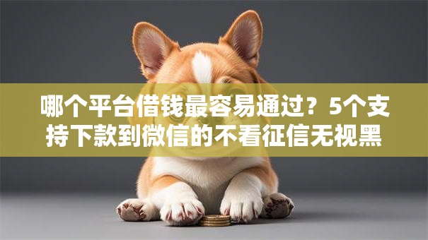 哪个平台借钱最容易通过？5个支持下款到微信的不看征信无视黑白百分百下款网贷口子