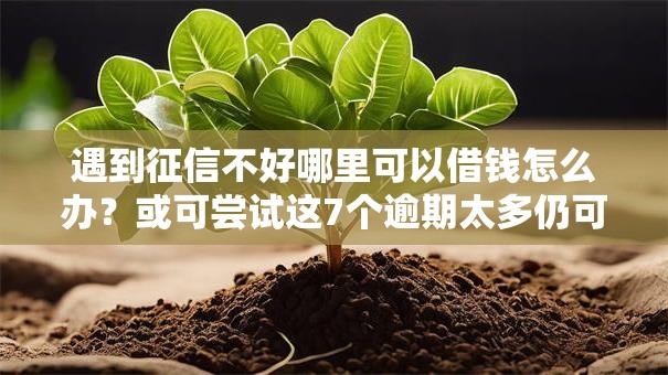 遇到征信不好哪里可以借钱怎么办？或可尝试这7个逾期太多仍可下款的平台