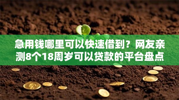 急用钱哪里可以快速借到?网友亲测8个18周岁可以贷款的平台盘点 急用钱哪里可以快速借到?网友亲测8个18周岁可以贷款的平台盘点