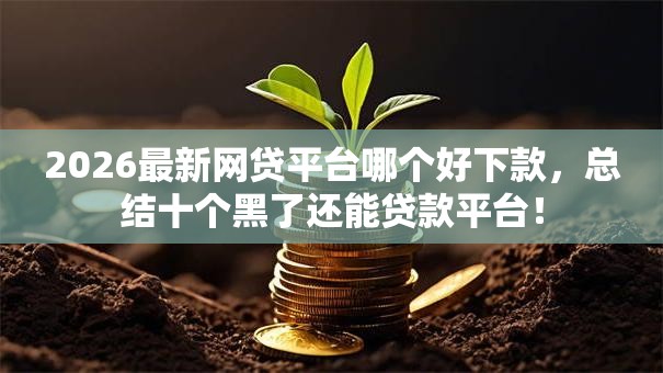 2026最新网贷平台哪个好下款，总结十个黑了还能贷款平台！