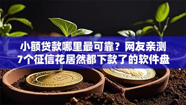 小额贷款哪里最可靠？网友亲测7个征信花居然都下款了的软件盘点