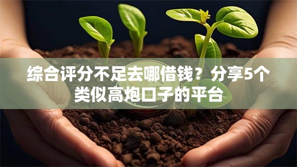 综合评分不足去哪借钱？分享5个类似高炮口子的平台