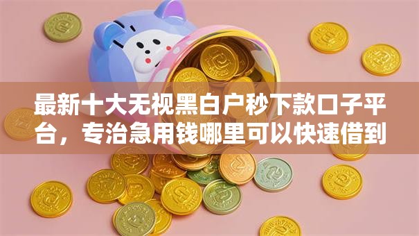 最新十大无视黑白户秒下款口子平台，专治急用钱哪里可以快速借到