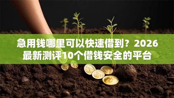 急用钱哪里可以快速借到?2026最新测评10个借钱安全的平台 急用钱哪里可以快速借到?2026最新测评10个借钱安全的平台