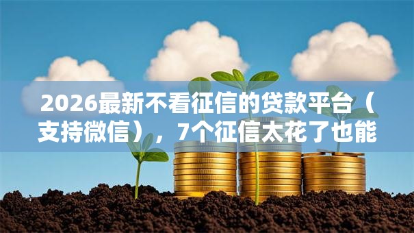 2026最新不看征信的贷款平台（支持微信），7个征信太花了也能借钱的平台无私分享